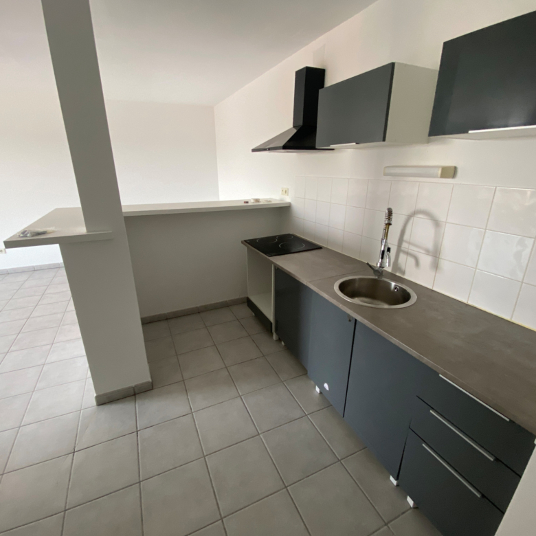 Spacieux T3  avec grande terrasse chemin de Moulis 31200 Tou