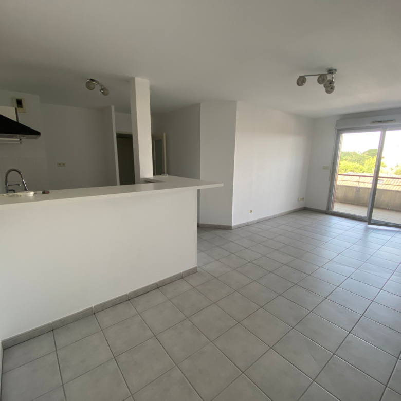 Spacieux T3  avec grande terrasse chemin de Moulis 31200 Tou
