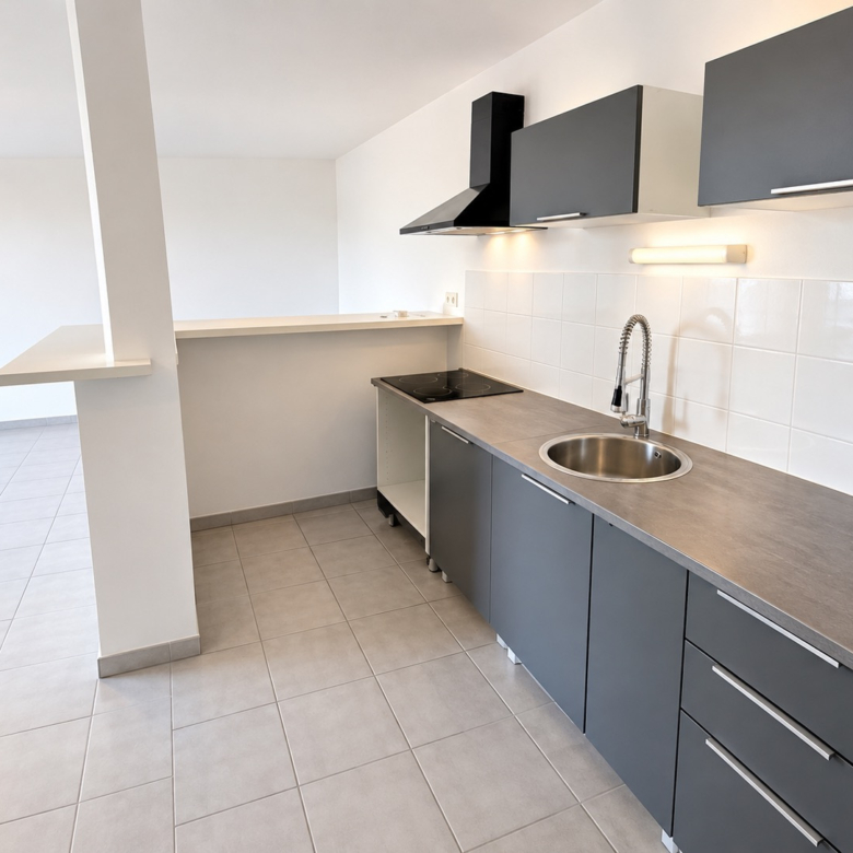 Spacieux T3  avec grande terrasse chemin de Moulis 31200 Tou