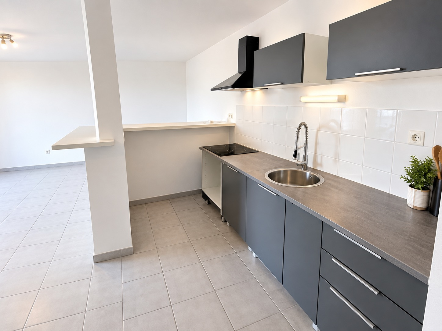 Spacieux T3  avec grande terrasse chemin de Moulis 31200 Tou