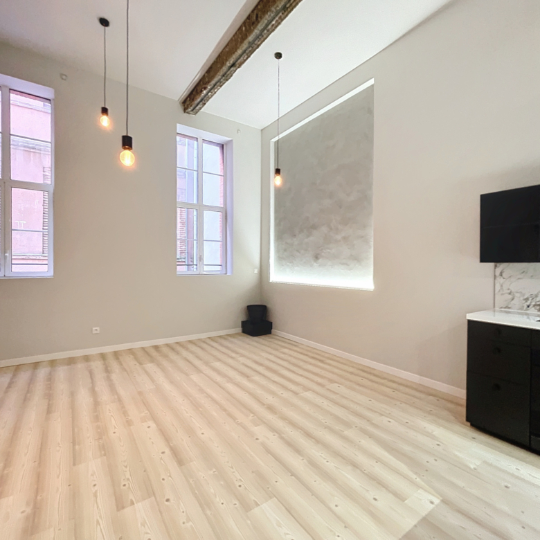 Grand T2bis Duplex Salengro / Capitole