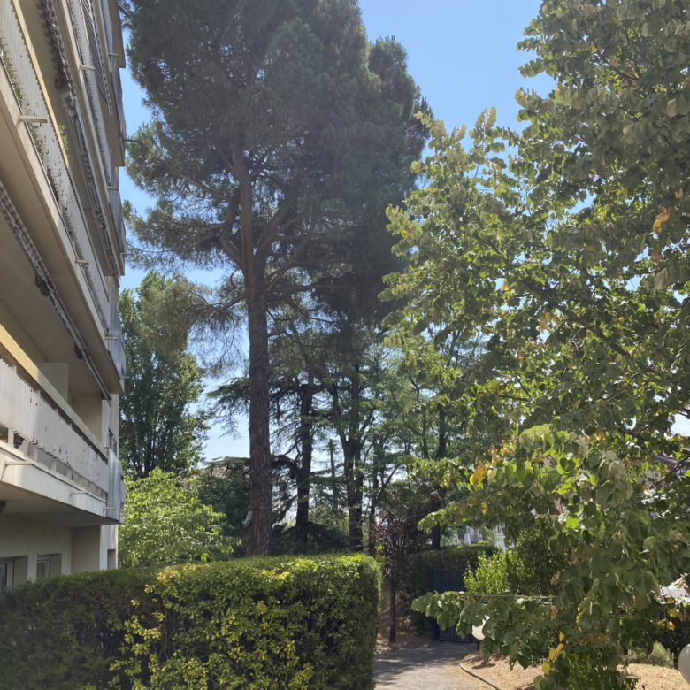 Appartement T4   94 m2   3 chambres   Balcon & garage
