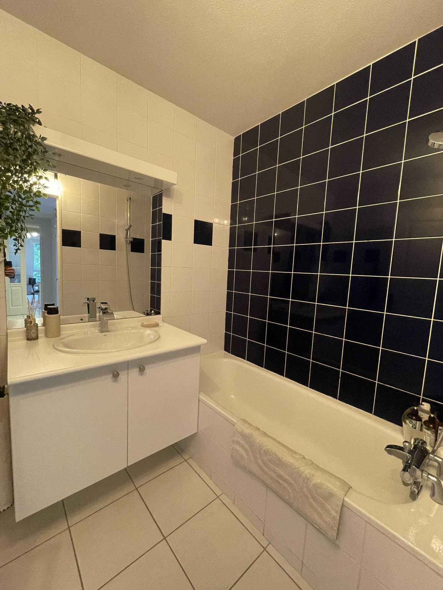 photo_69ddcdbc35aa281e03ab3cb08f57b514-36831-0.jpg Appartement T3 – Non meublé – Ramonville